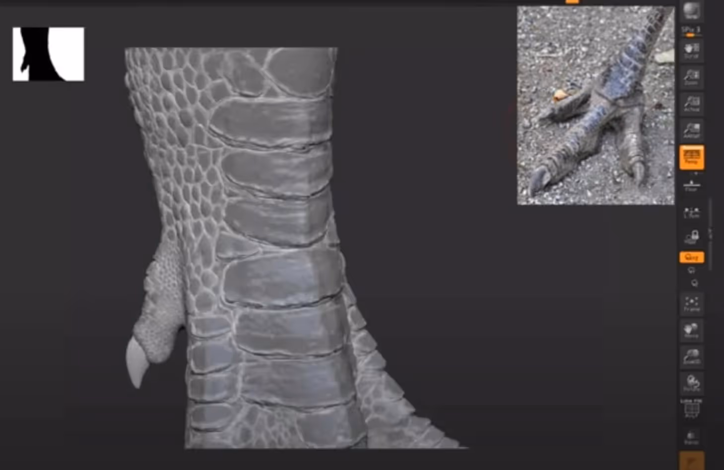 Zbrush and Cinema 4d Integration