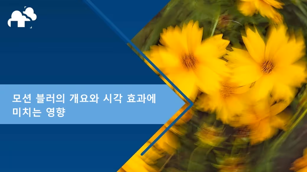 모션 블러