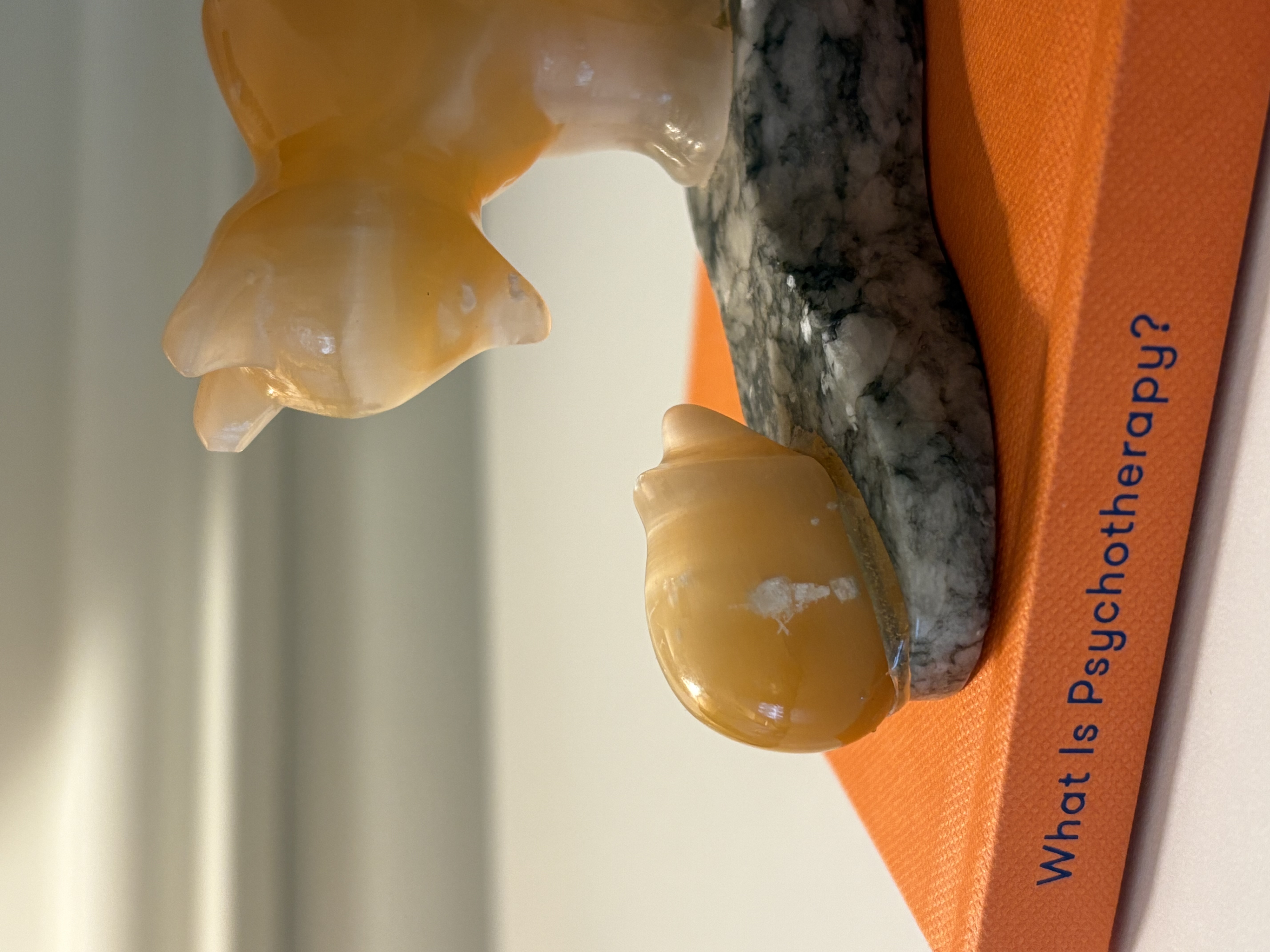 A small sculpture of a bear cub on top of an orange book called What is Psychotherapy?
