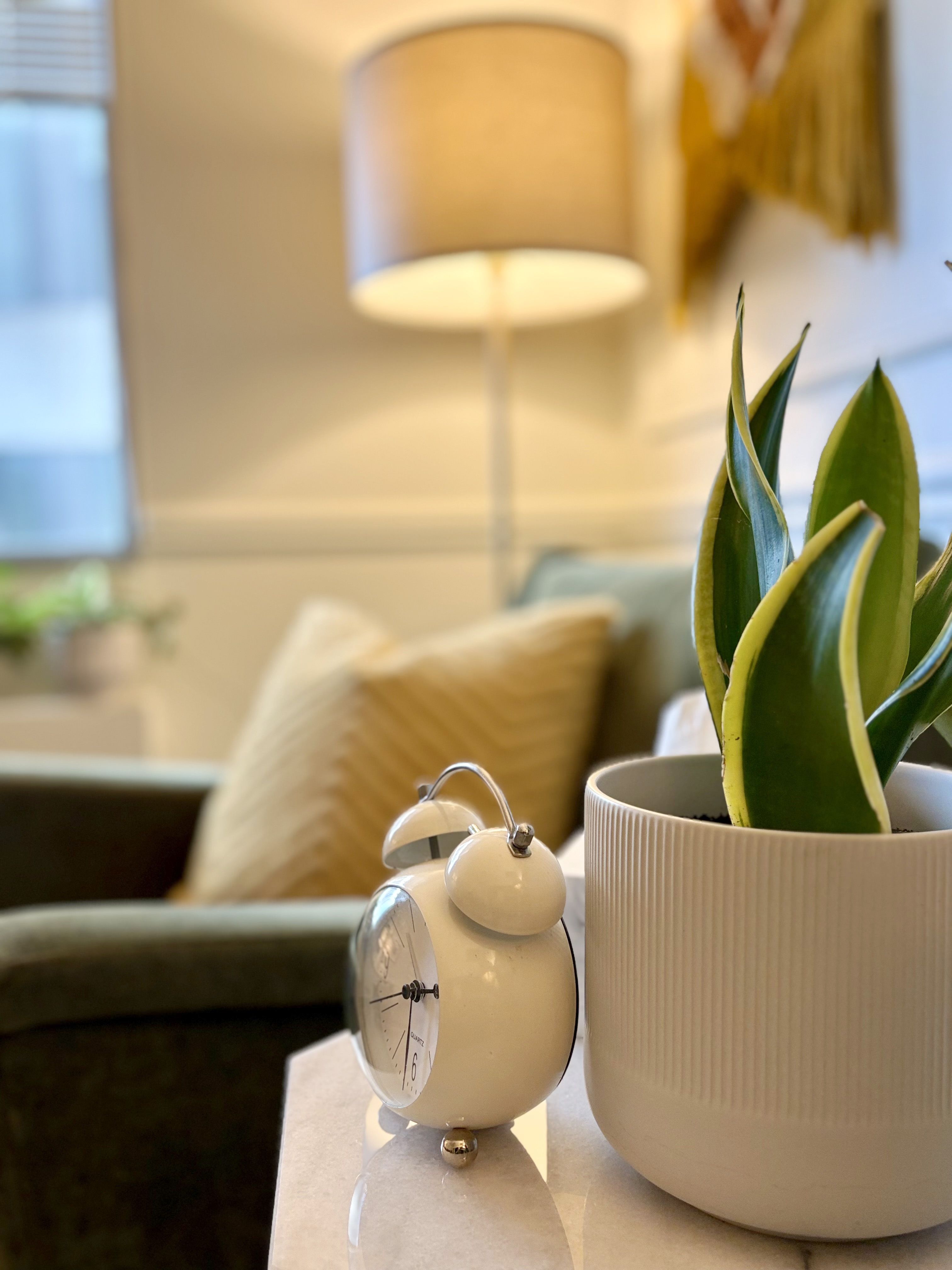 office detail with a plant and a clock on a side table