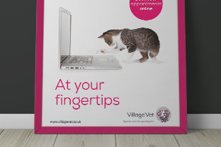 villagevet_thumb