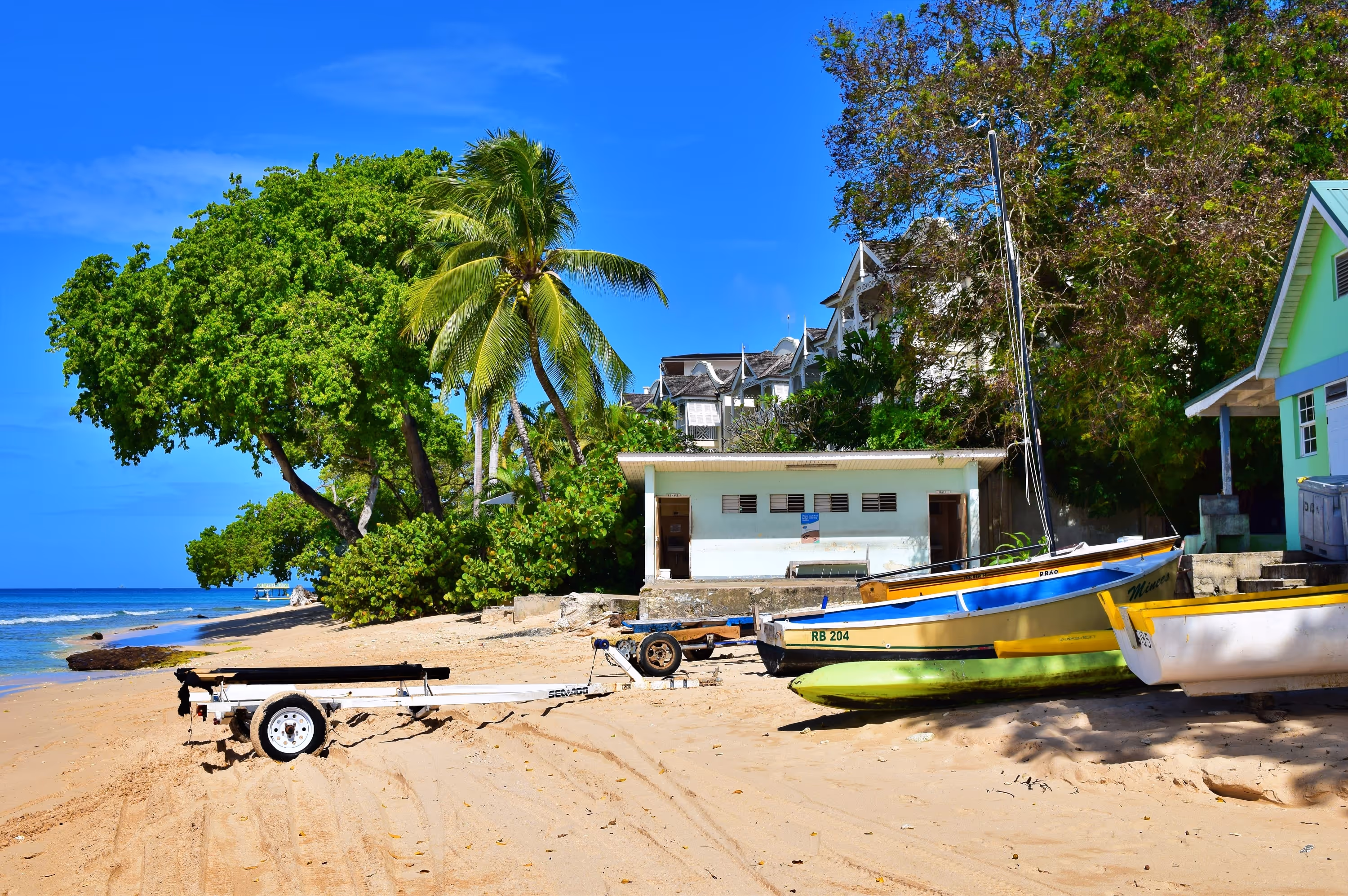 Sunny blue sky with palm trees and various other types of trees behind some houses and canoes on a beach