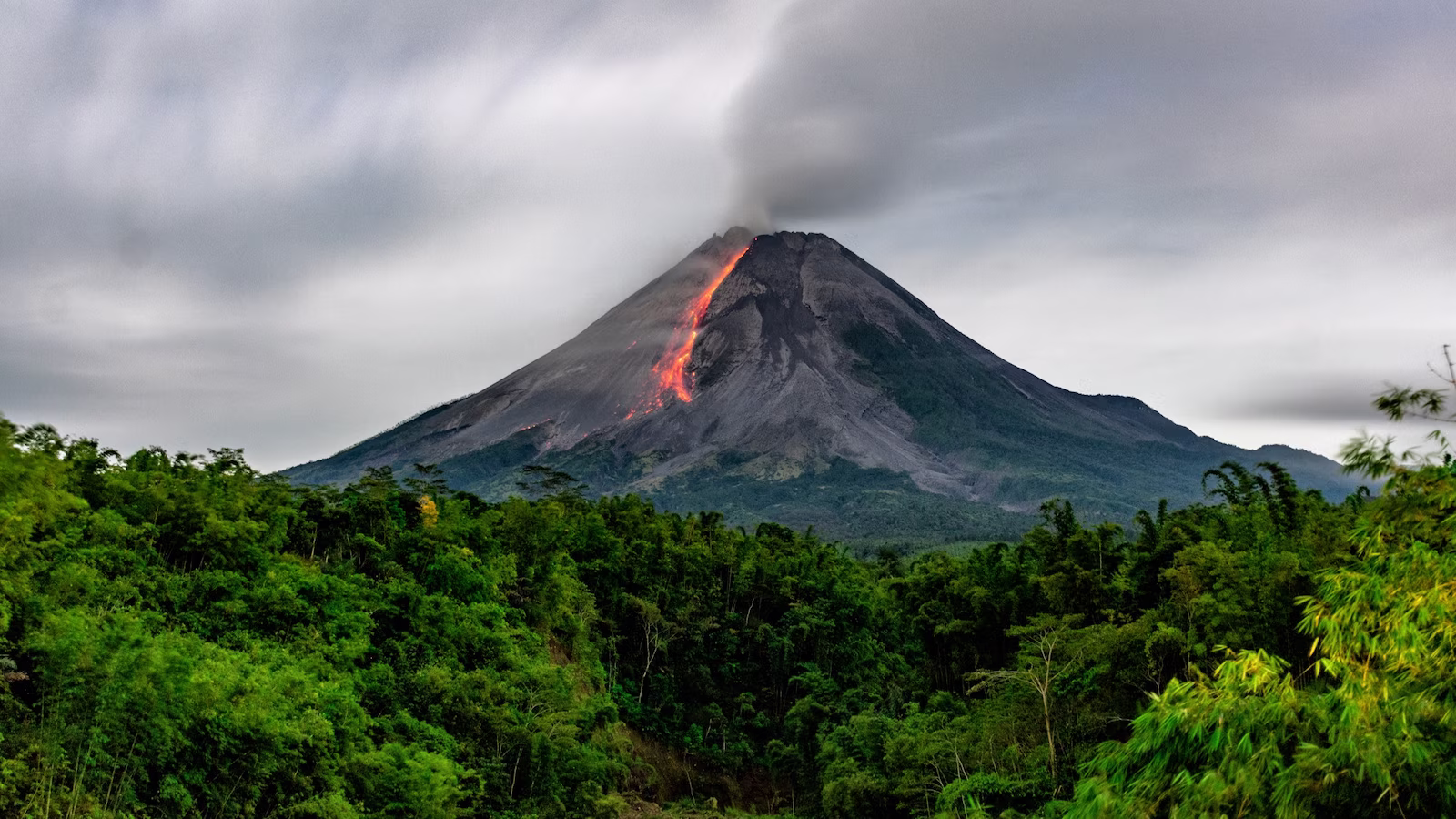 Trees and forest with erupting volcano in the background