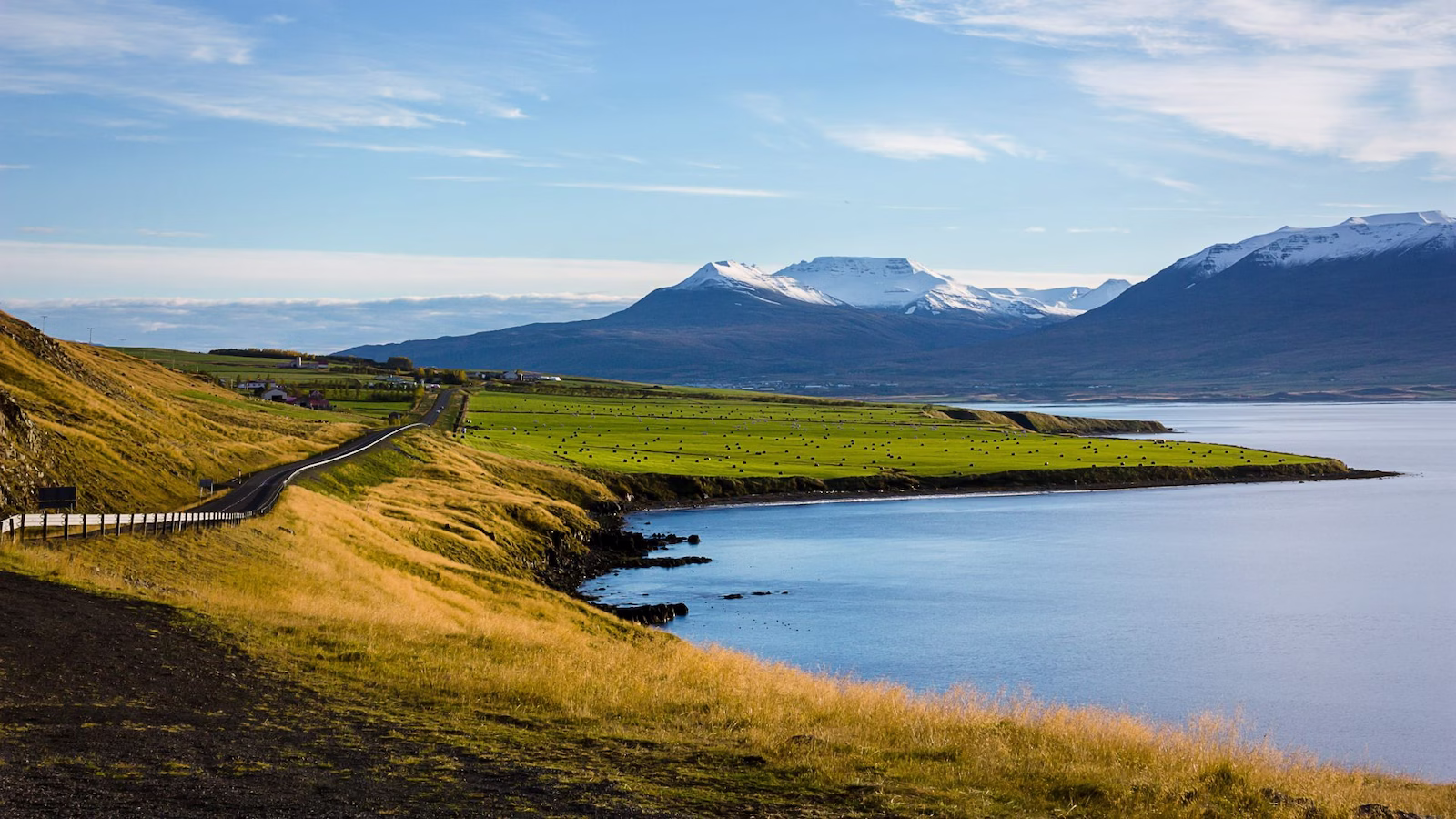 Road along coast in Iceland with snowy mountains and green fields