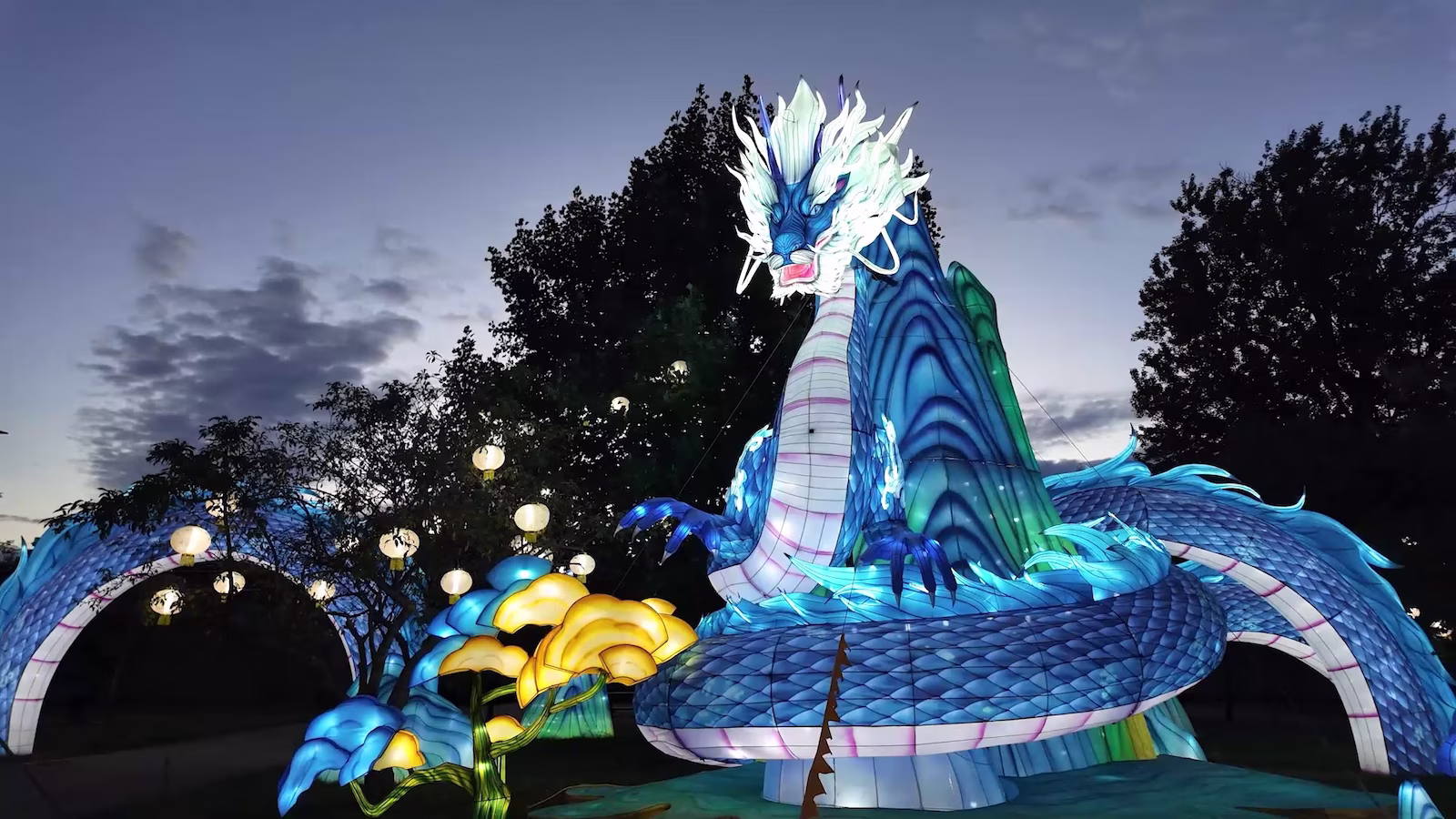 Blue dragon LED display at lantern festival
