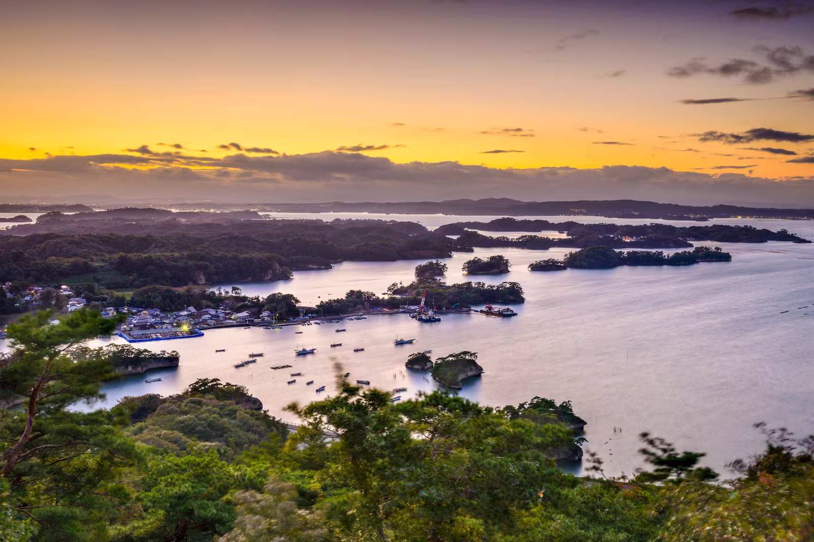 Islands on Matsushima Bay at sunset