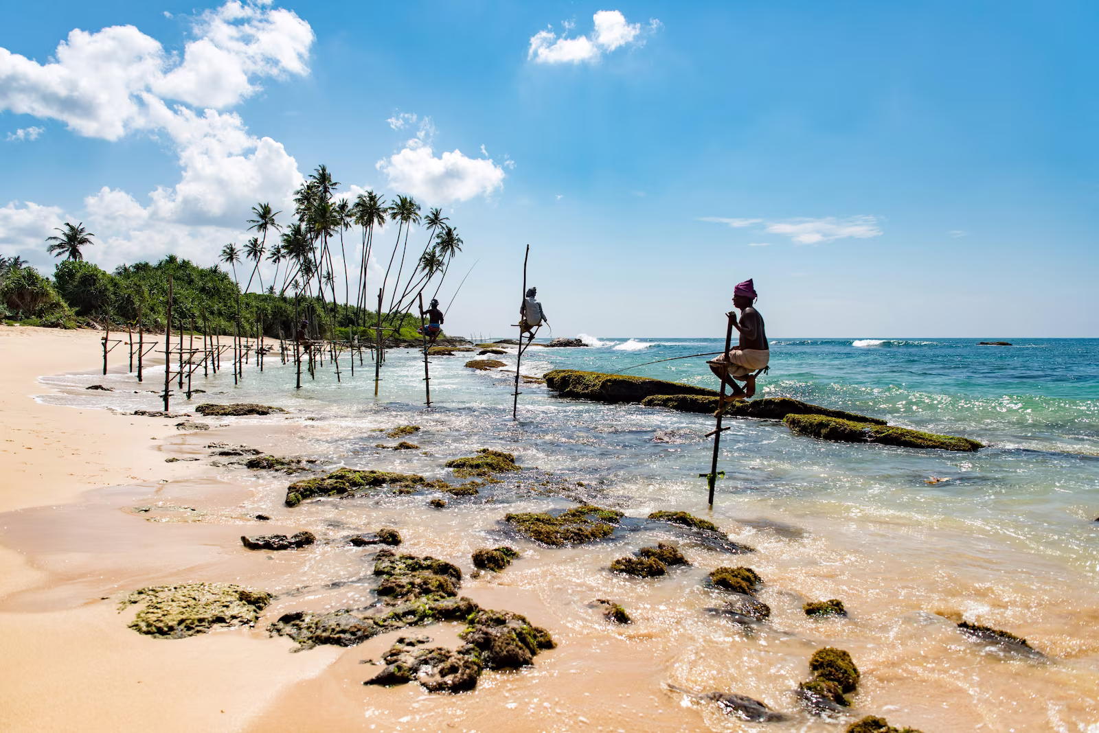 people lined up on the beach climbing on vertical sticks stuck in the sand, fishing, with white sand beach in the back and the sea to the right