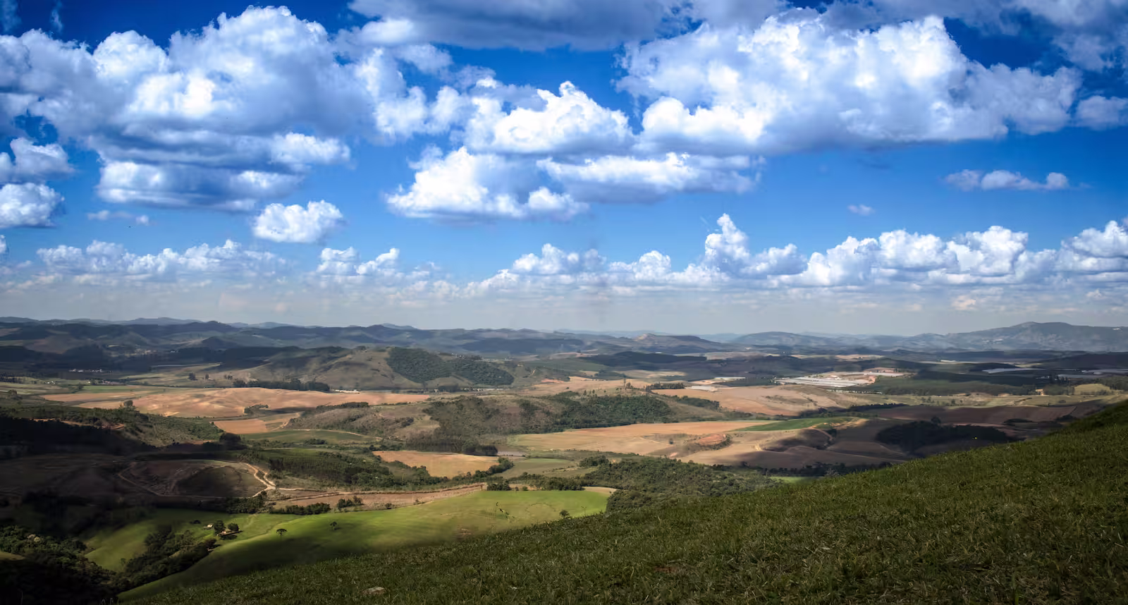 Aerial view of green landscape in Boa Vista