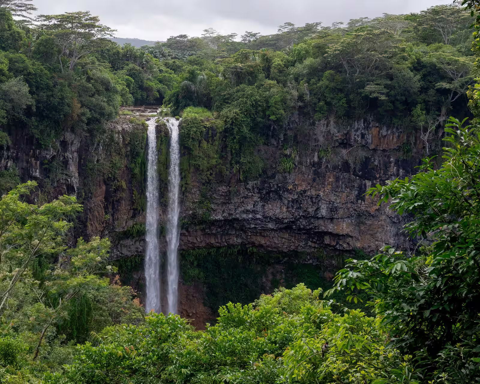 Small waterfall in Mauritius surrounded by trees and bushes