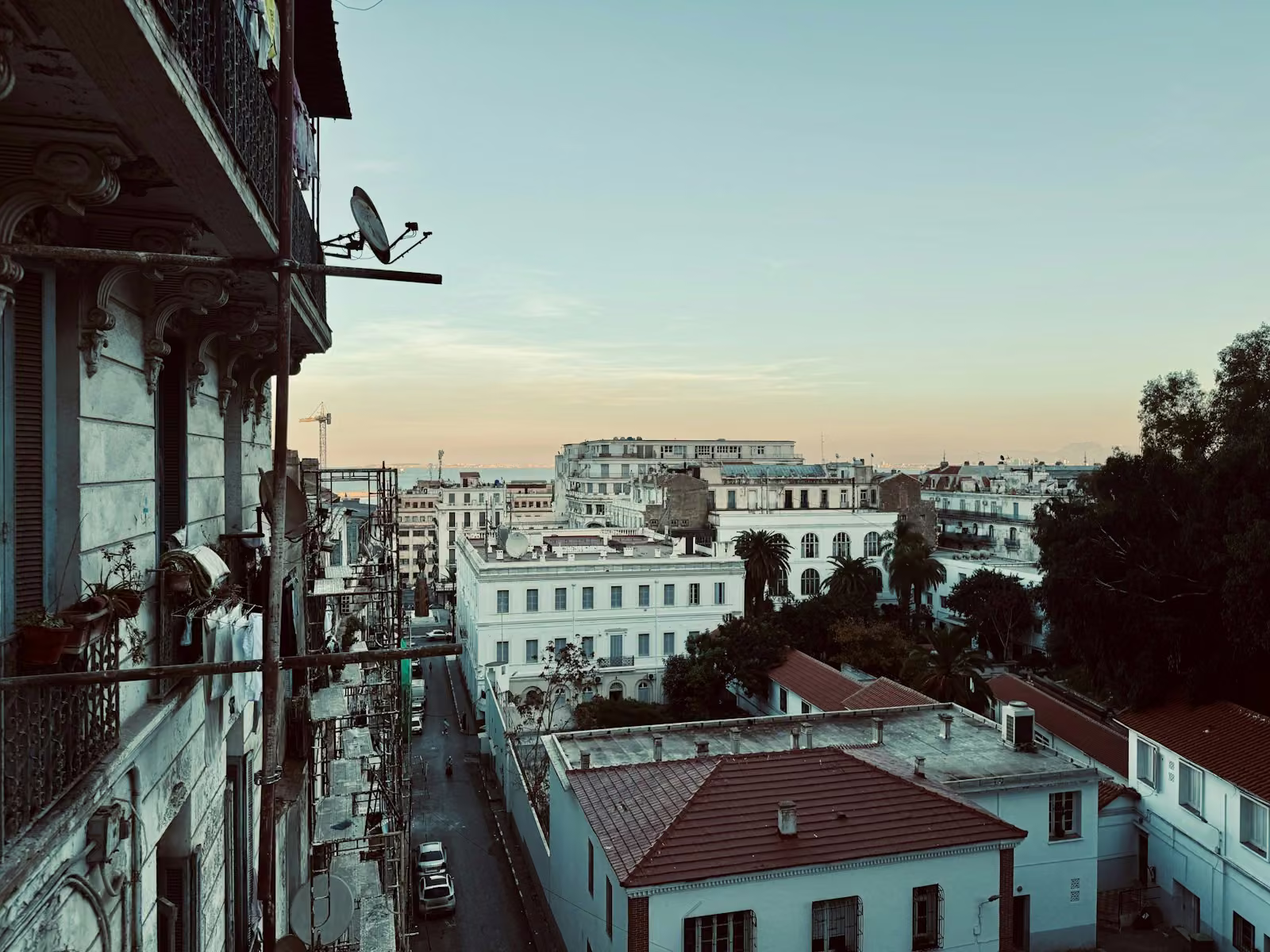 White buildings, balconies and palm trees in central Algiers