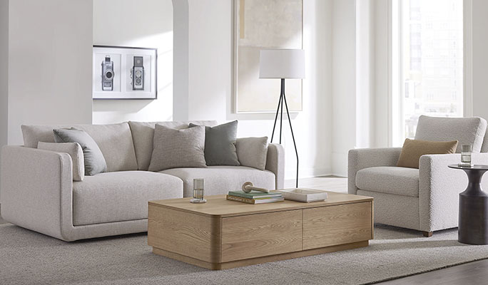 Modern Sofa with ottoman and Chair