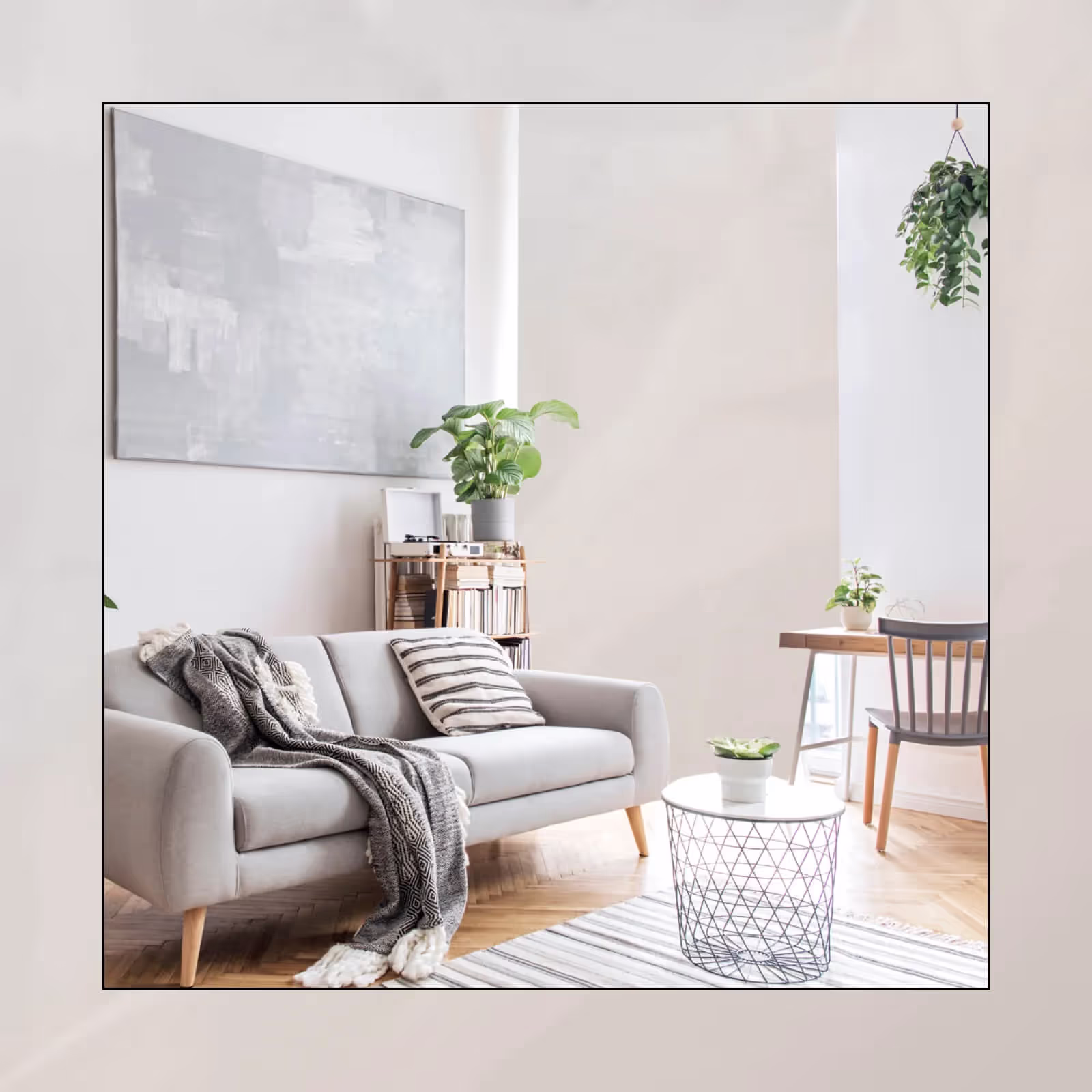 Arranging Plants in Living Room