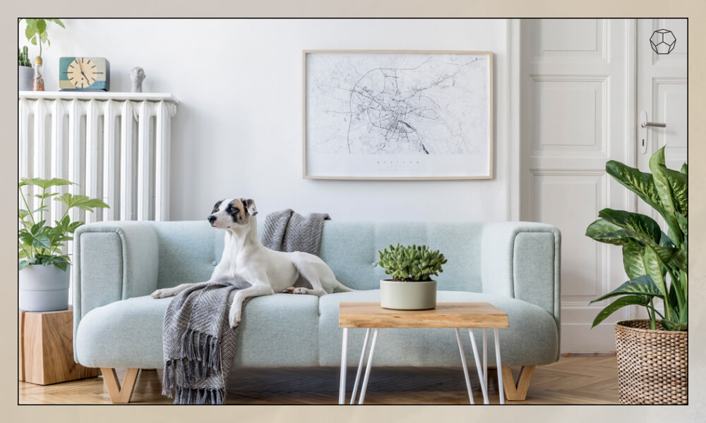 Map above sofa