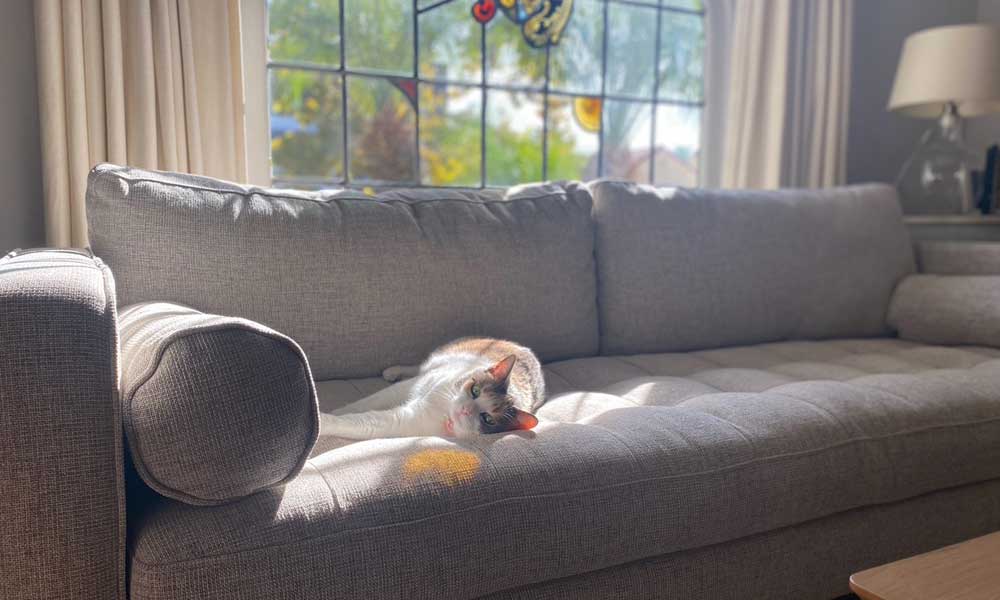 Sven Couch