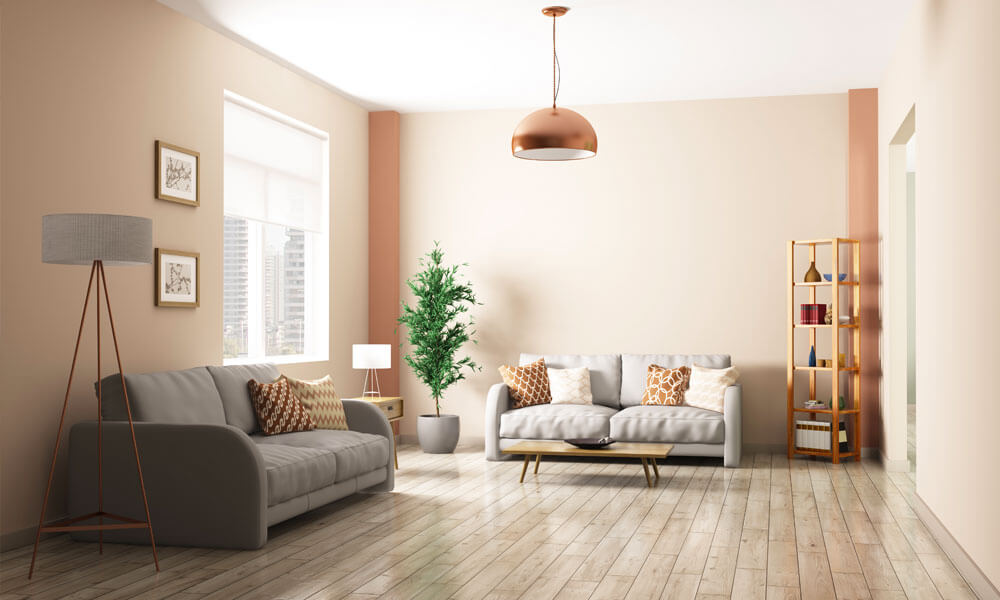 Two Sofas in a Living Room