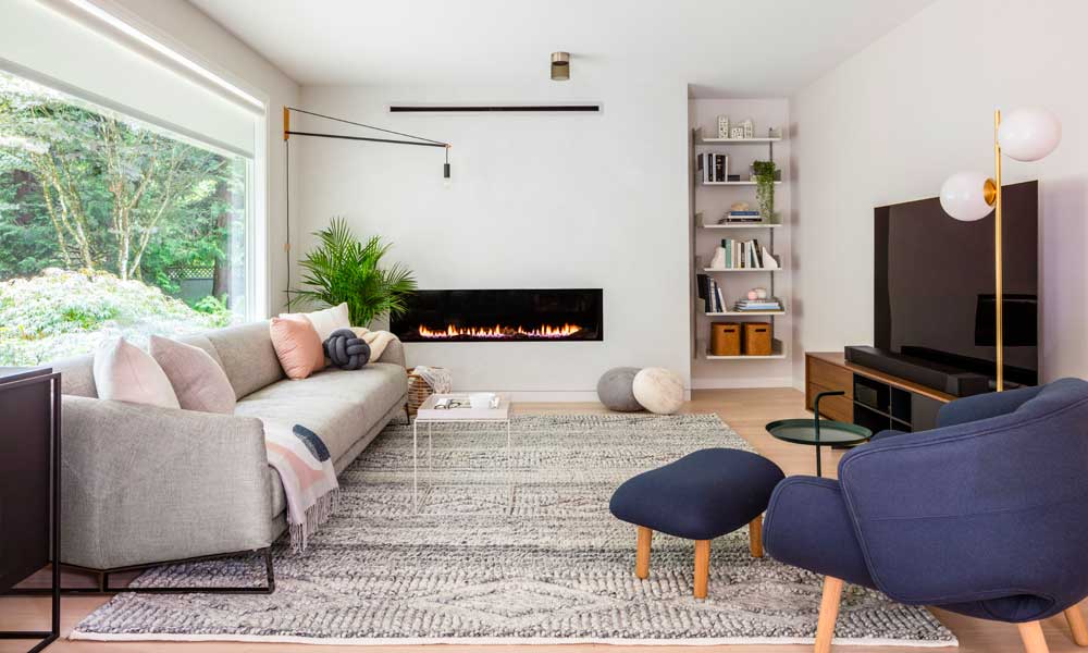 Gray sofa with rug