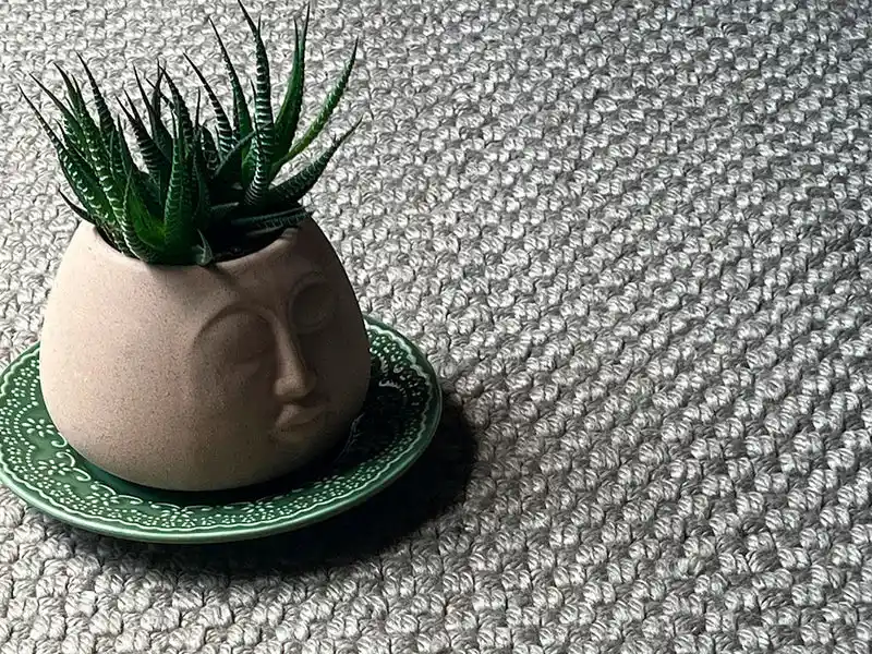 Close up of braided grey rug with a small green pot with a plant