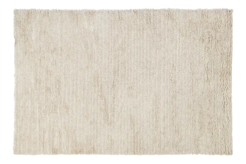 Shag Rug in Beige