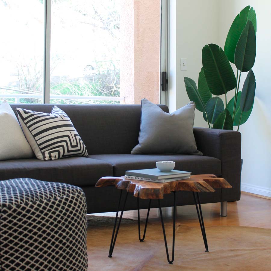 Gray and White pillows on a Sofa