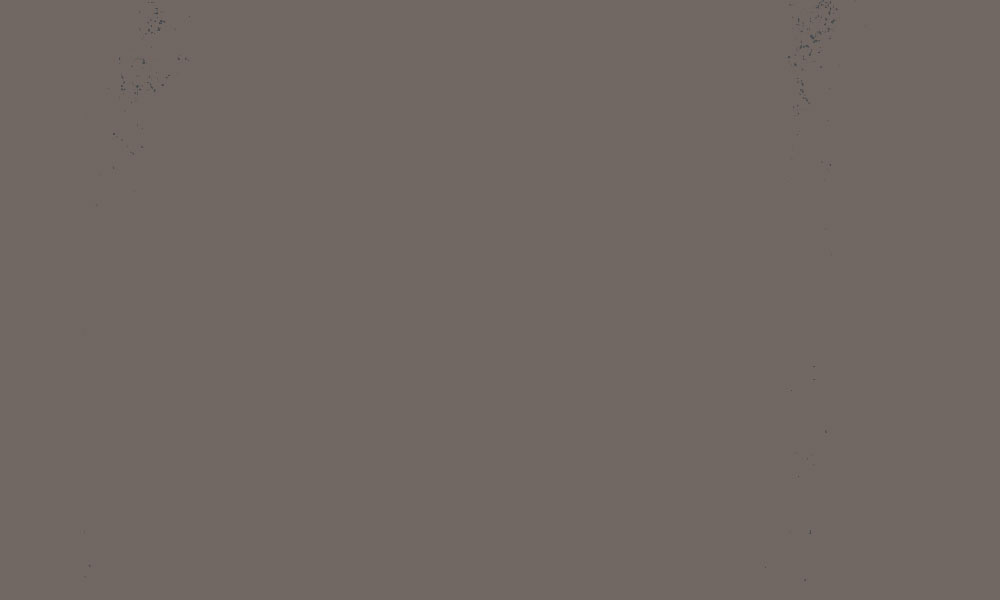 Wildwood - brown color for paint walls