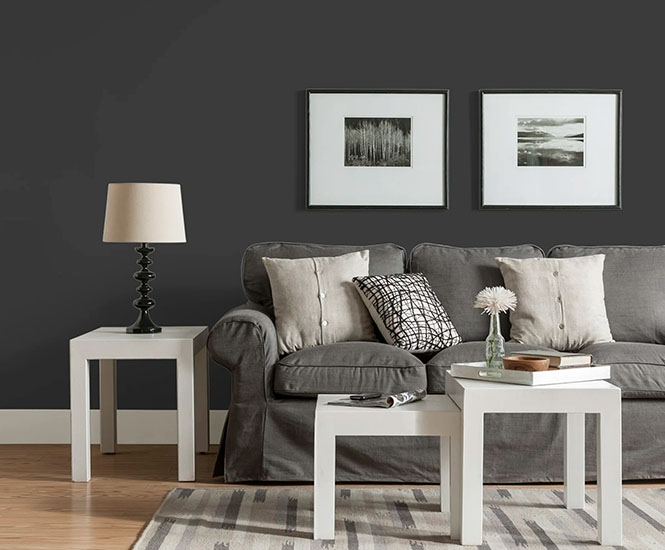 Living Room with black paint colors