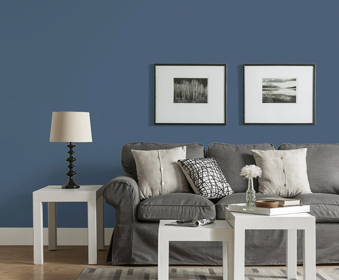 Blue Eggshell Interior Paint with Primer