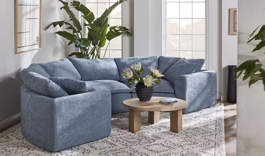 Cute Curved sofa with coffee table