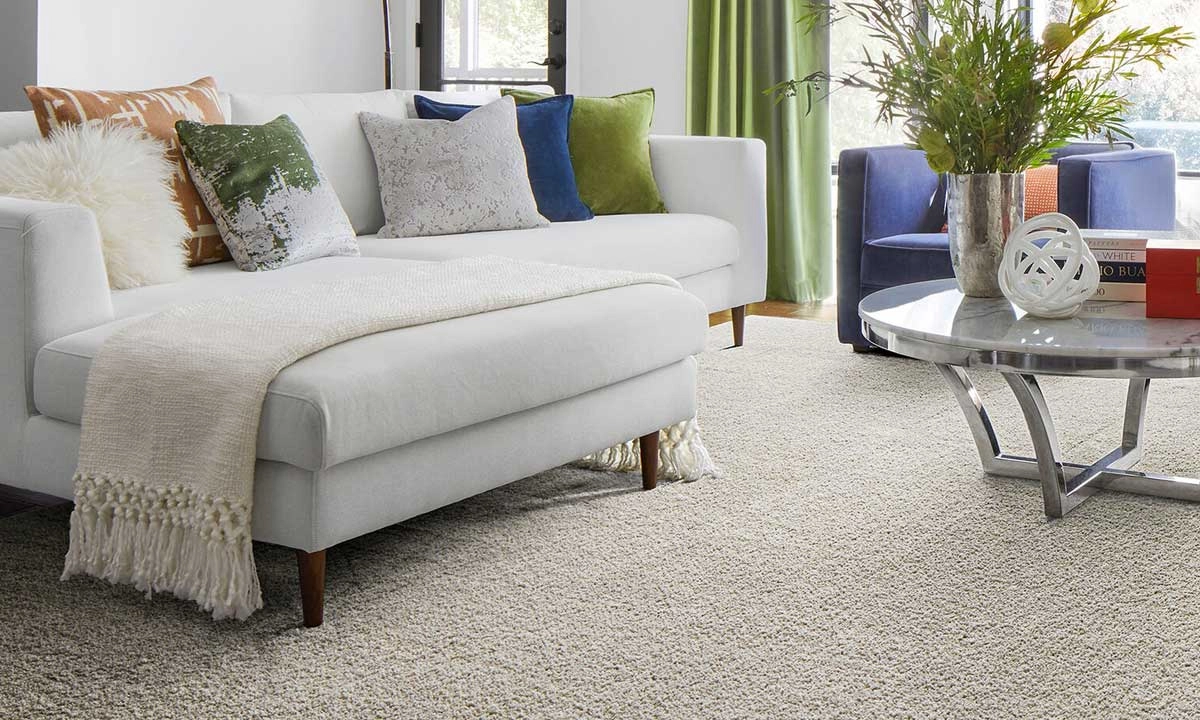 Grey Rug in a living room with a grey sofa with colored cushions and a moern coffee table