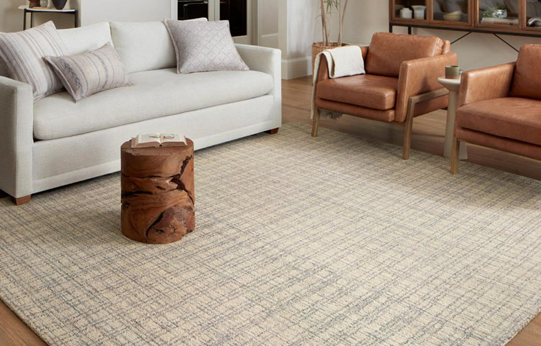 living room with a sofa set and a indoor Area Rug