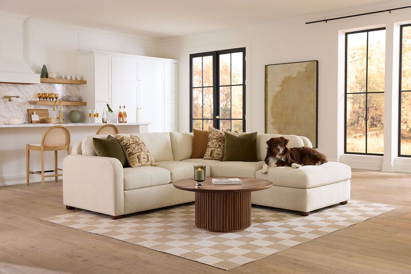 L-Sectional with pillows and dog in a living room
