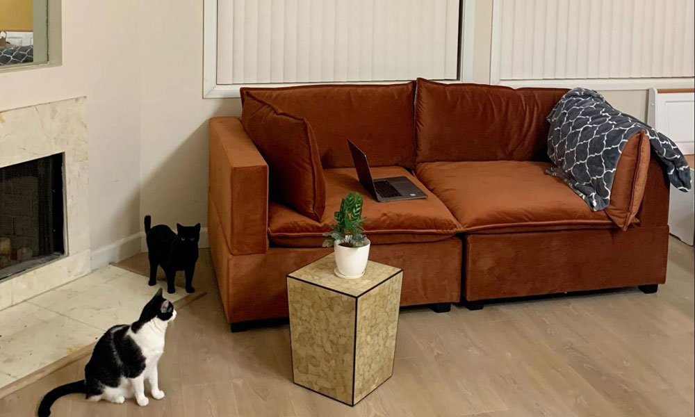 Kova Sofa in the Room