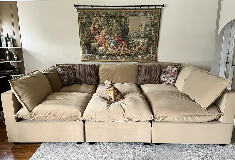 Colorful pillows and a peach blanket on a light gray couch in a bright living room.