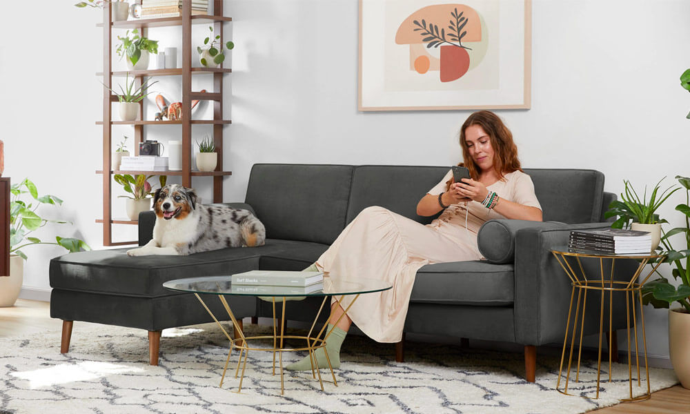 Grey Velvet Sofa with a woman and a dog sitting in it in a living room with a white rug