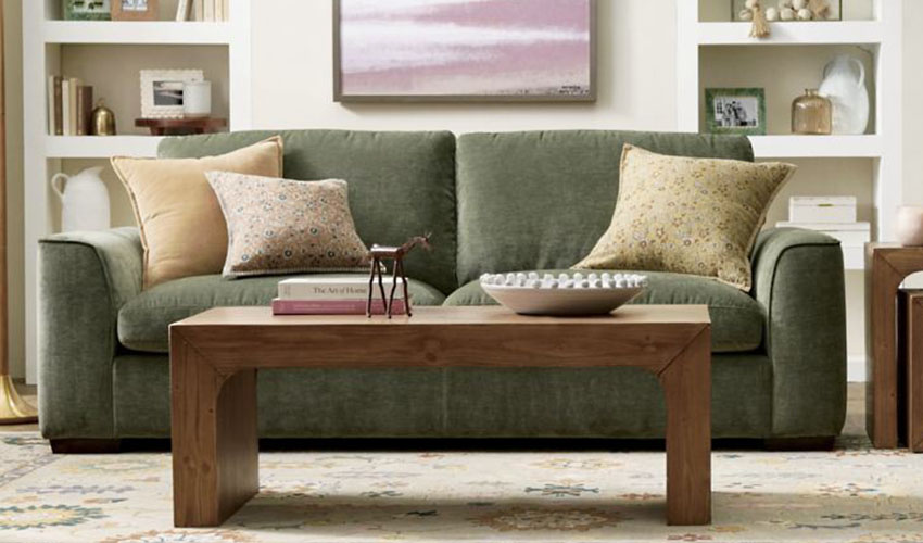 Green Sofa with pillows and coffee table