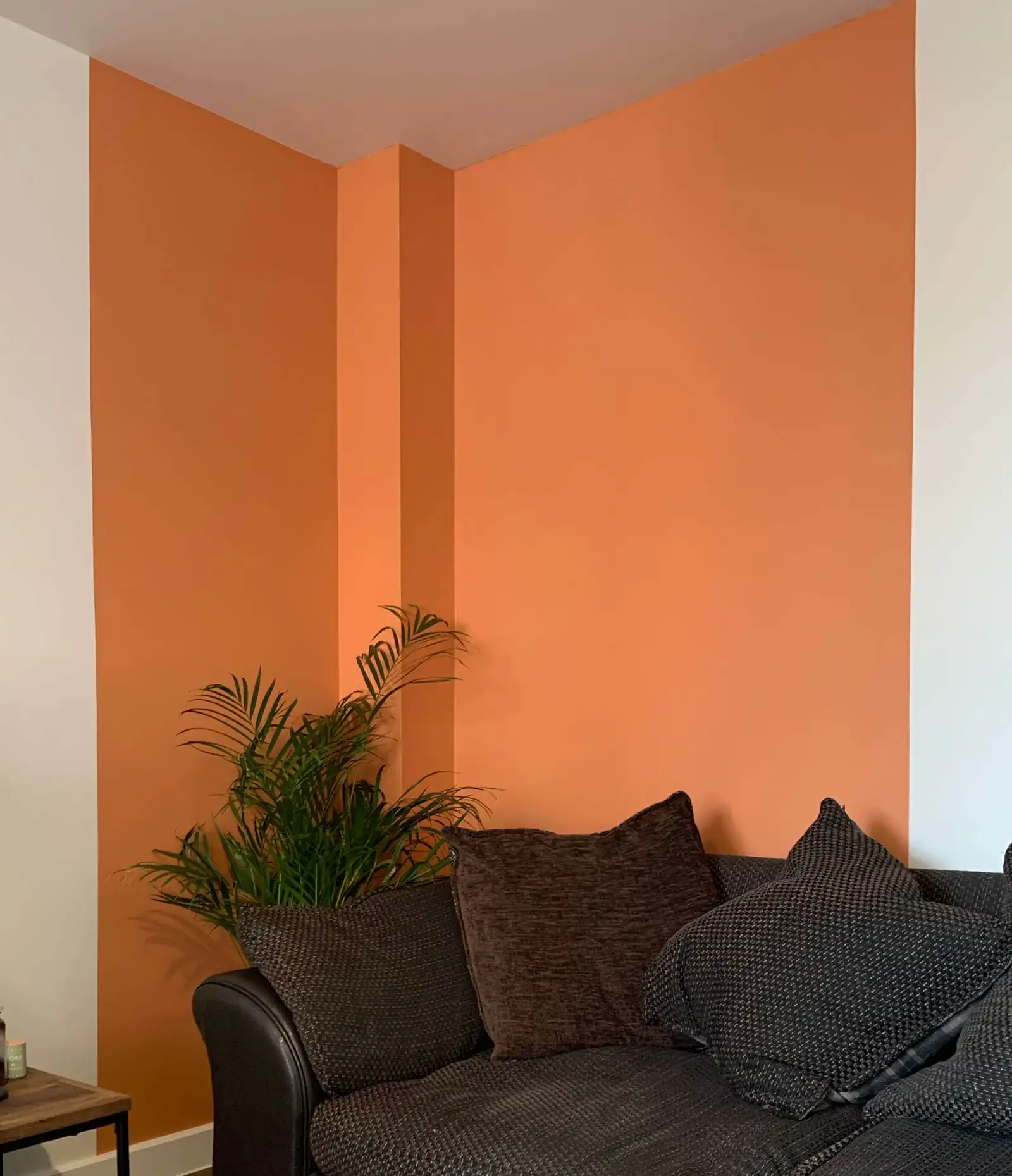 Coat Paint Result