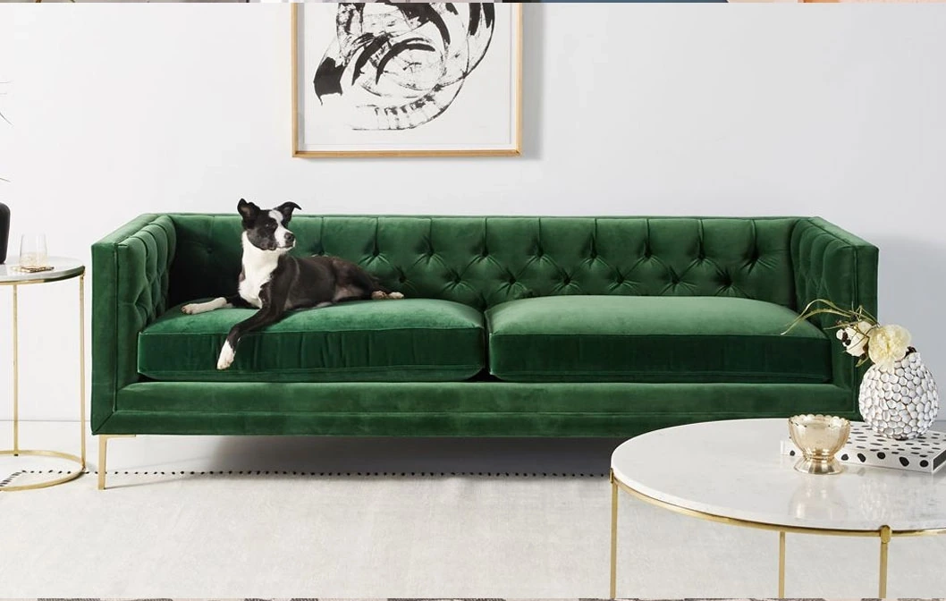 Green velvet sofa with wooden legs and a dog sitting in it in a living room