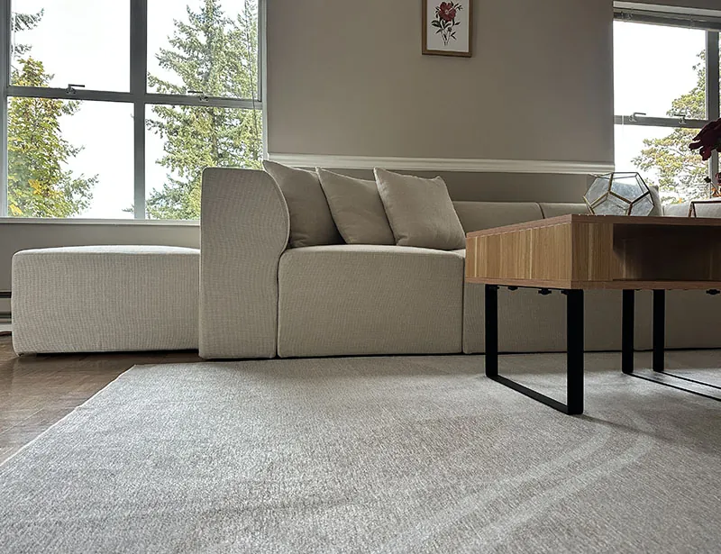 Cozey Rug in living room