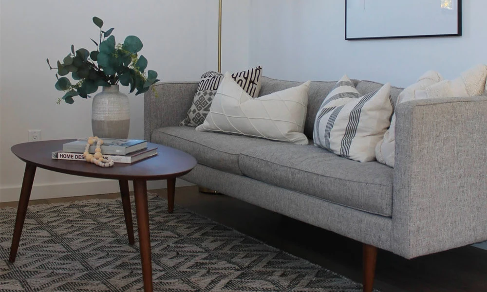 Black and white throw pillows