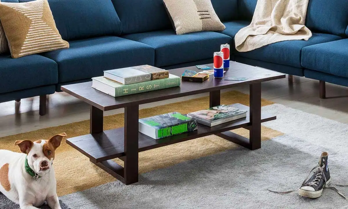 Wooden Coffee Table with a wooden shelf with books near a blue sofa, a dog and placed on a rug