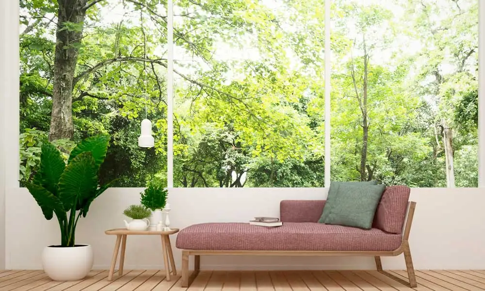 Chaise by window