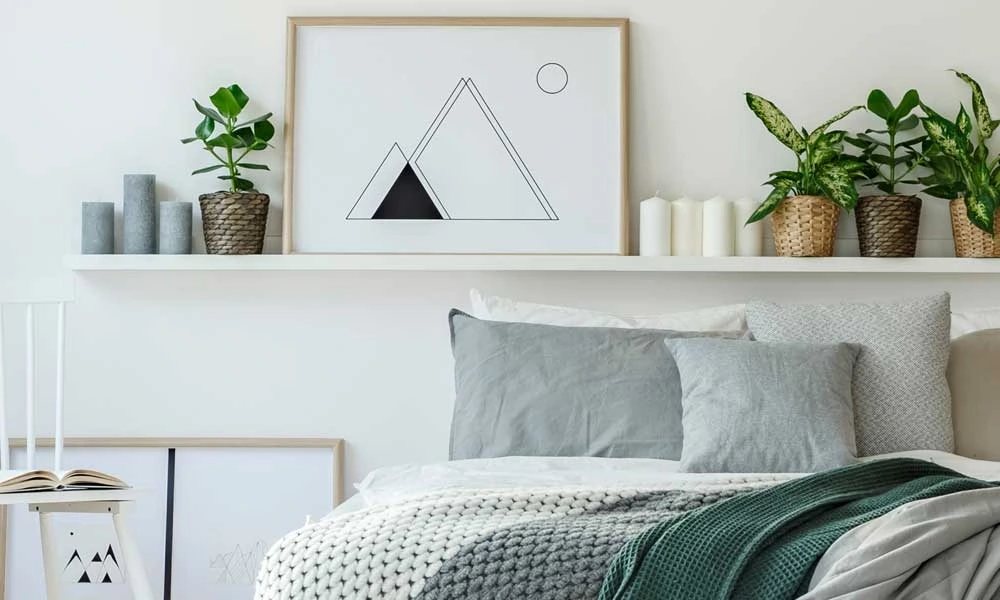 A shelve above the bed with some decorative pieces and plants
