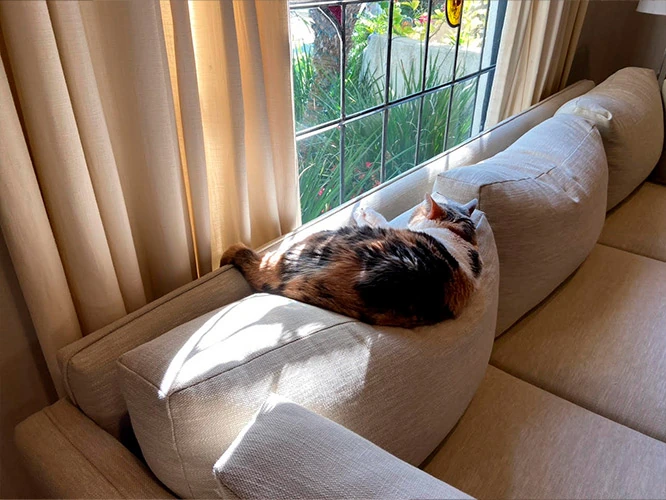 Venice Sofa in Joshua Sand color