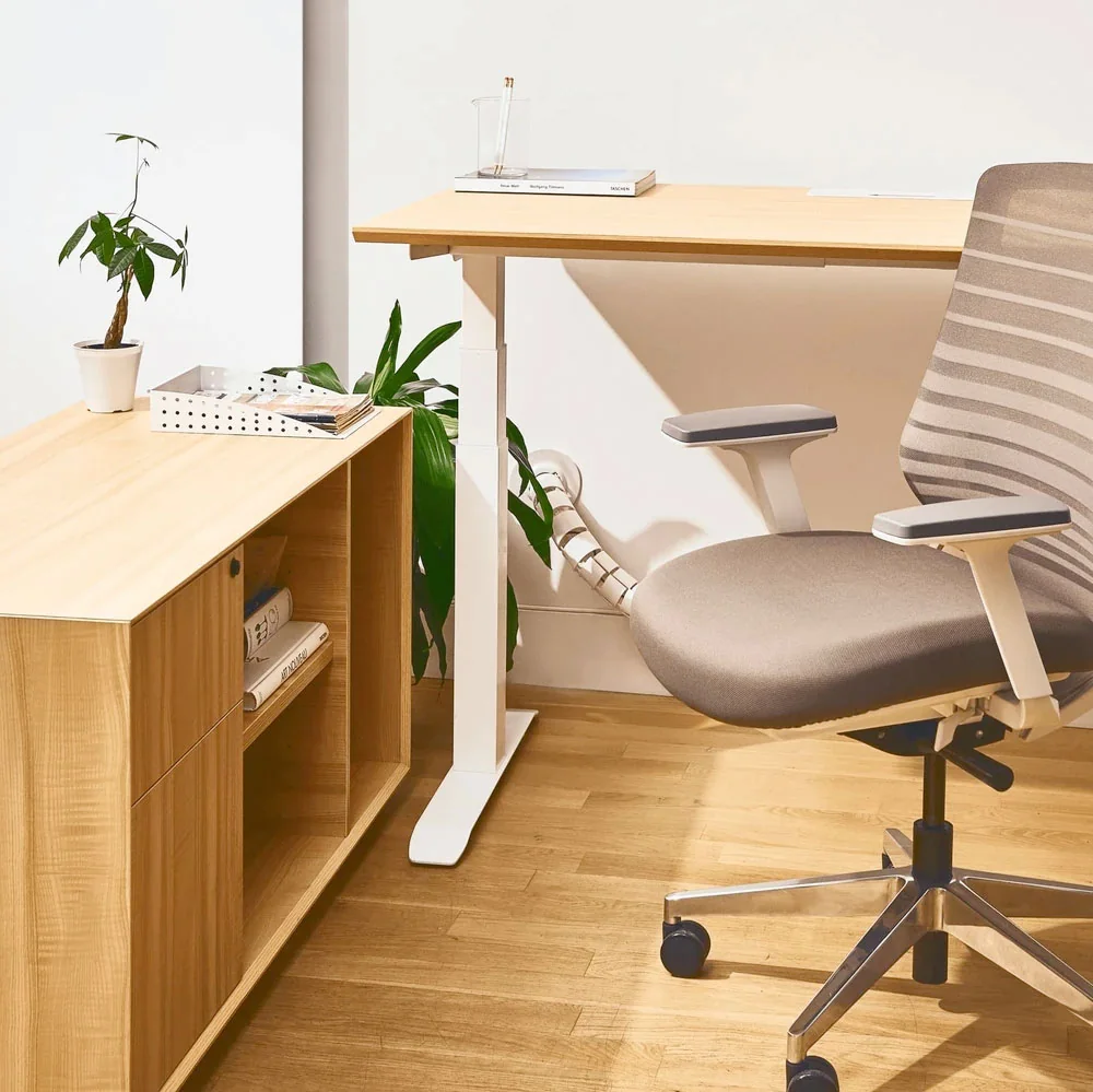 Ergonomic Chair by Branch