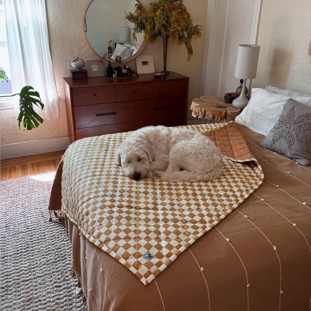 Cream and ochre checkered quilted pet blanket on a bed with a white dog asleep on it