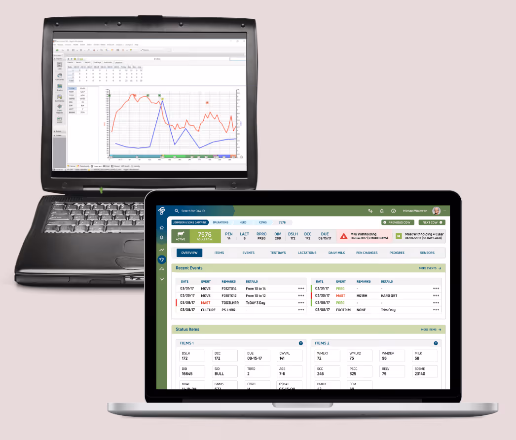 A mockup of a project