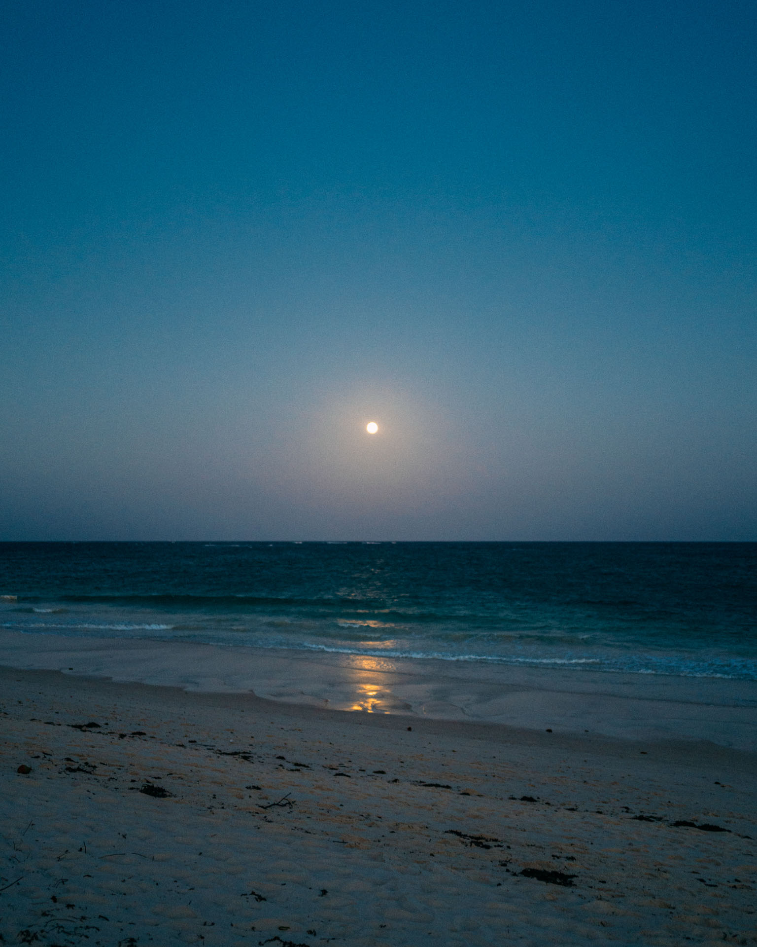 Diani Moon