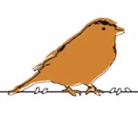 Giant Sparrow