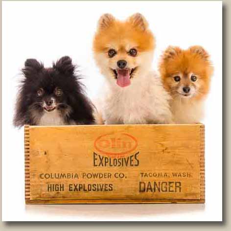 A fine art portrait of young woman