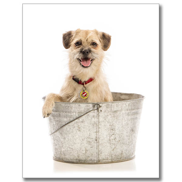 A fine art portrait of young woman