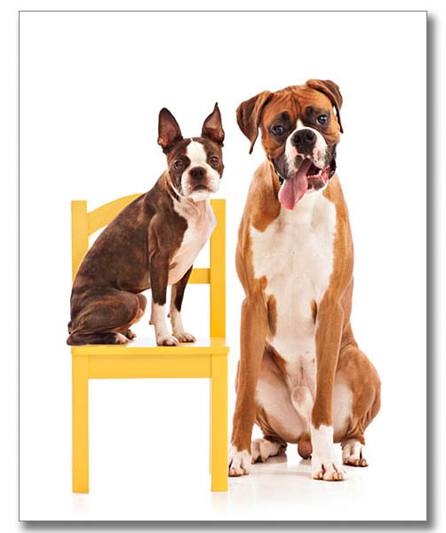 A fine art portrait of young woman